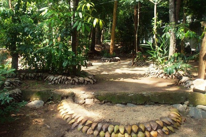Kandy Transfer Visiting Dambulla Cave Temple and Herbal Garden - Sri Muththumari Amman Kovil in Matale