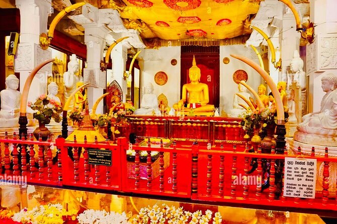 Kandy Transfer Visiting Dambulla Cave Temple and Herbal Garden - How Flexible Is the Day?