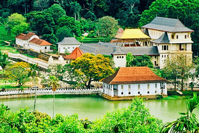 Kandy Transfer Visiting Dambulla Cave Temple and Herbal Garden - Who Will Like This Transfer?