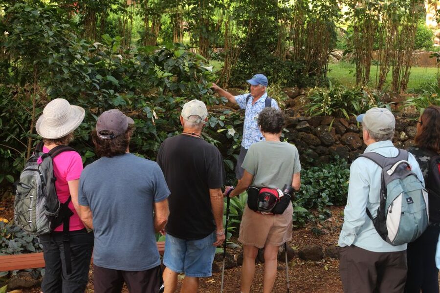 Kauai: Allerton Garden and Estate Tour with Sunset Dinner - Key points to know before you go