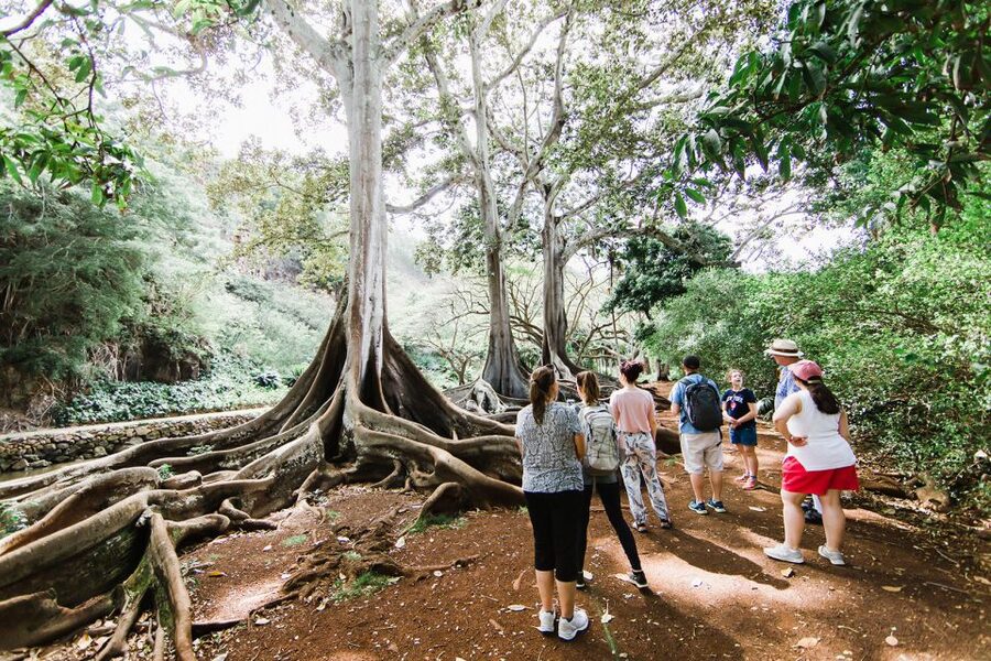 Kauai: Allerton Garden and Estate Tour with Sunset Dinner - Practical details that make the evening easier