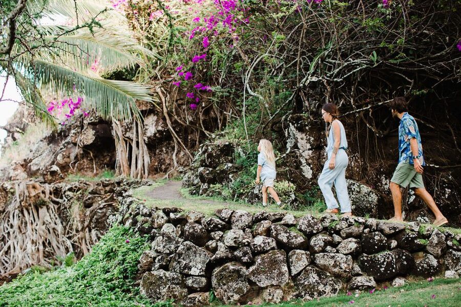 Kauai: Allerton Garden and Estate Tour with Sunset Dinner - Who will enjoy this three-hour evening?