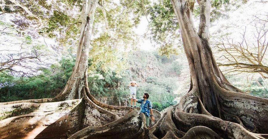 Kauai: Allerton Garden Guided Group Walking Tour - Key points to know before you book