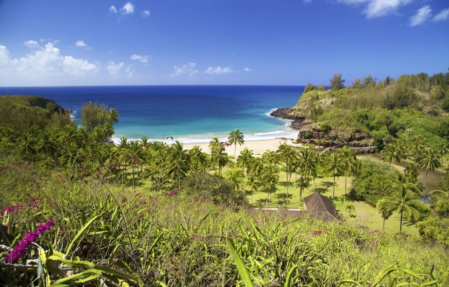 Kauai: Allerton Garden Guided Group Walking Tour - Why Allerton Garden is more than a movie location