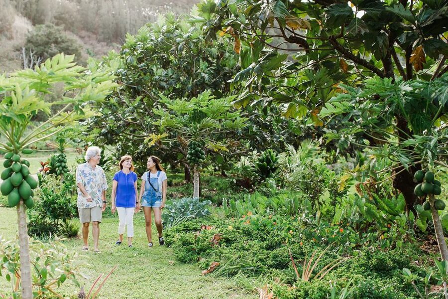 Kauai: McBryde Garden Self Guided Visit - Should you book the McBryde Garden visit?