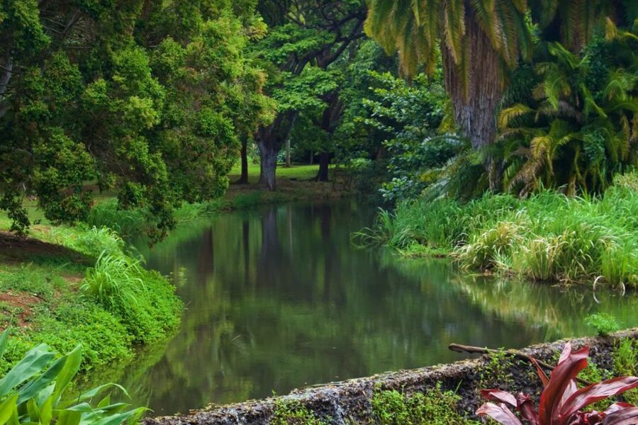 Kauai: McBryde Garden Self Guided Visit - Walking at your own pace
