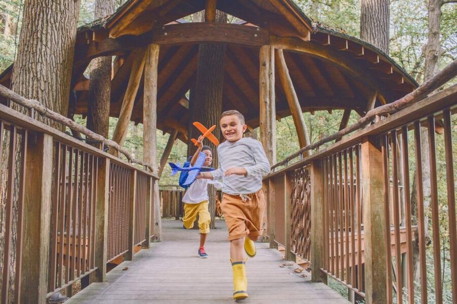 Kennett Square: Longwood Gardens Admission Ticket - Why Longwood Gardens Works as a Full-Day Visit