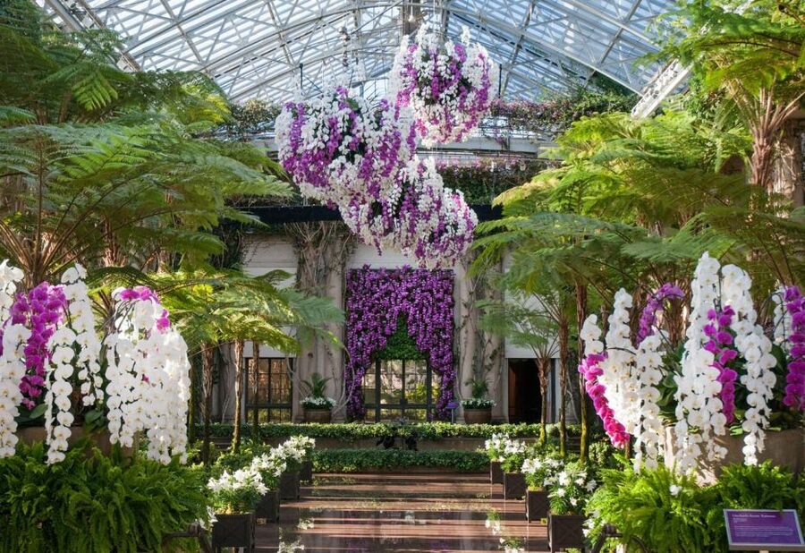Kennett Square: Longwood Gardens Admission Ticket - Fountain Performances from May Through October