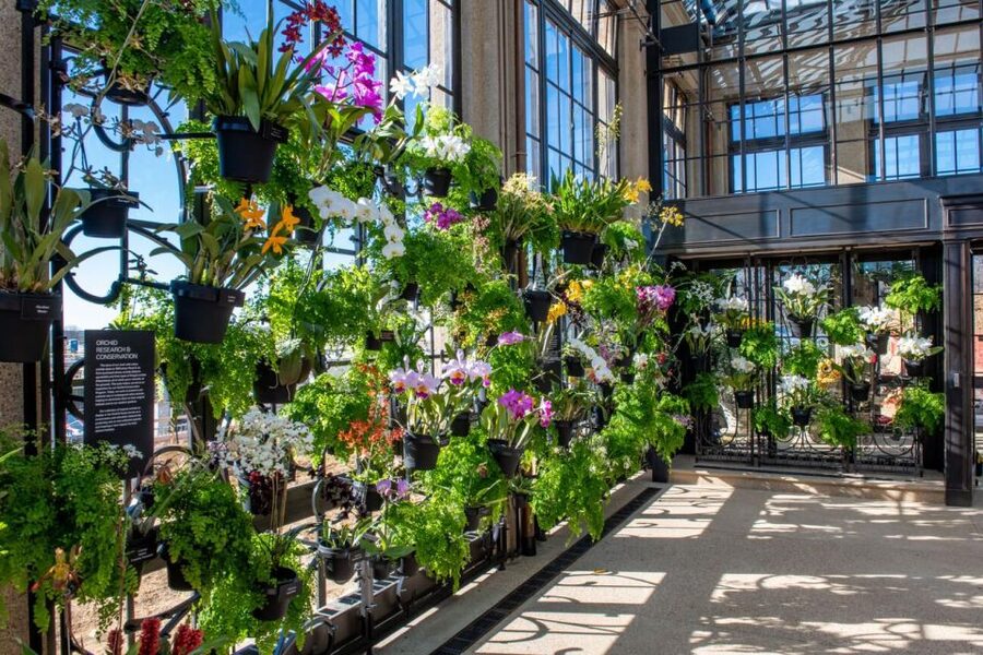 Kennett Square: Longwood Gardens Admission Ticket - Conservatories Offer a Useful Change of Pace