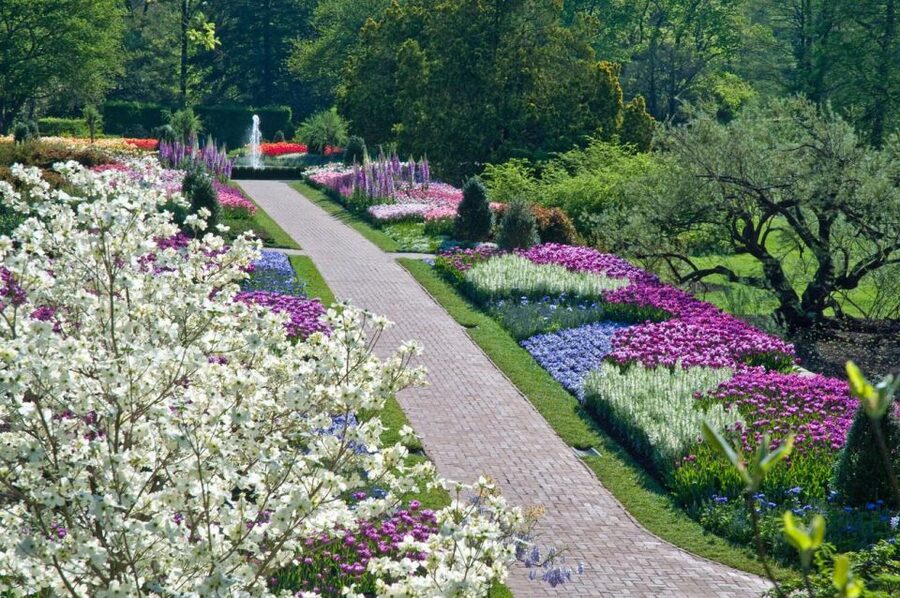 Kennett Square: Longwood Gardens Admission Ticket - Food, Drinks, and the Garden Shop