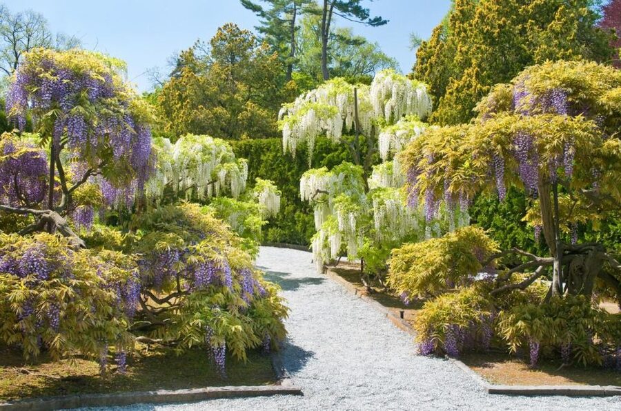 Kennett Square: Longwood Gardens Admission Ticket - What the $32 Ticket Is Worth