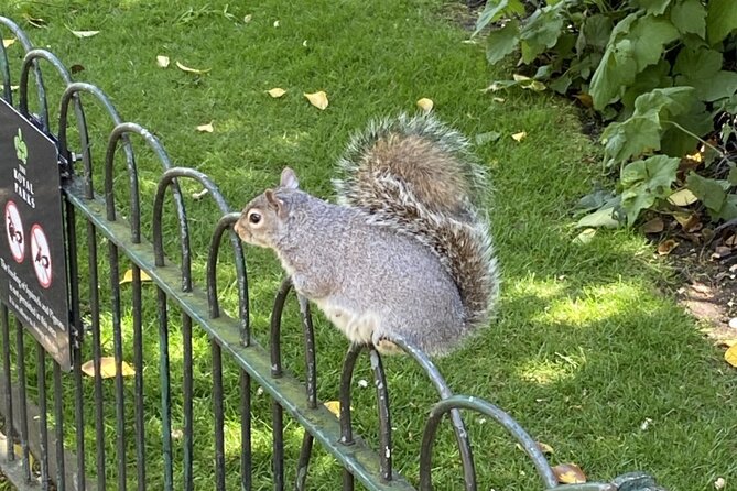 Kensington Gardens Self-Guided Tour for Kids and Families - Why this Kensington Gardens walk works for families