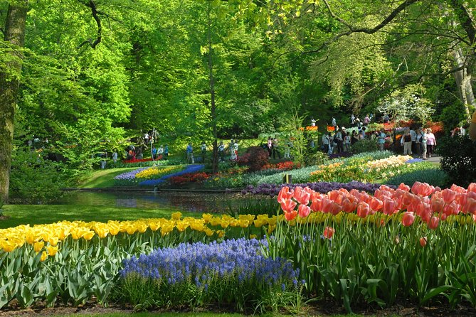 Keukenhof and Flower Fields Private Tour from Amsterdam - What the private guide adds