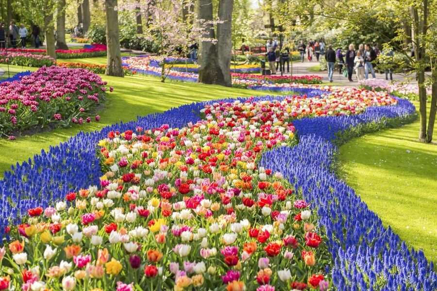 Keukenhof: Flower Fields Small-Group Cultural Bike Tour - Planning Keukenhof around the bike tour