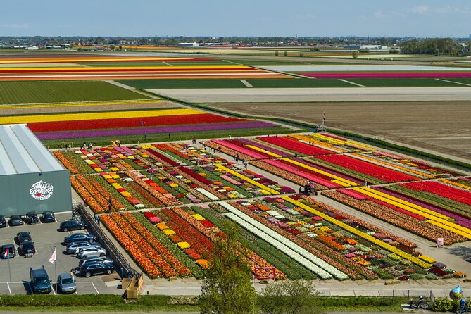 Keukenhof Gardens and Tulips Private Tour from Amsterdam - Key points before you book