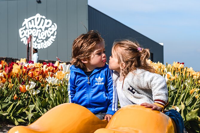 Keukenhof Gardens and Tulips Private Tour from Amsterdam - Private transport is the main luxury