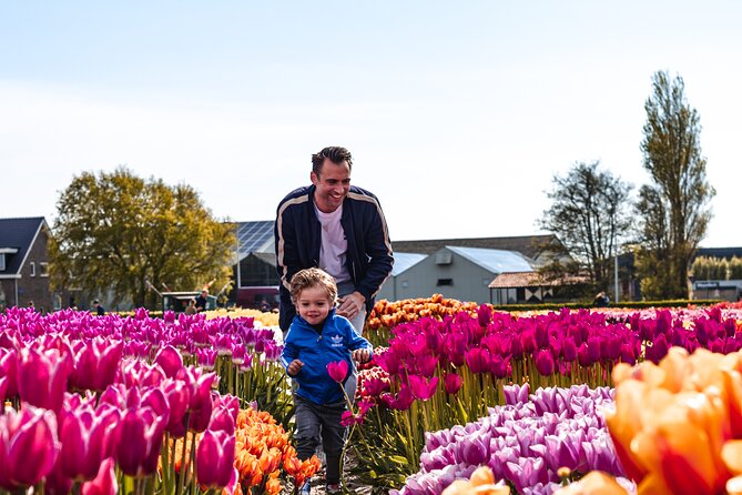 Keukenhof Gardens and Tulips Private Tour from Amsterdam - The Tulip Experience tells the bulb grower’s story