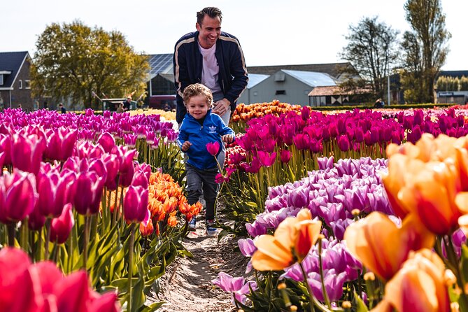 Keukenhof Gardens & Tulip Experience Tour from Amsterdam - The Tulip Experience: one hour at a working flower business