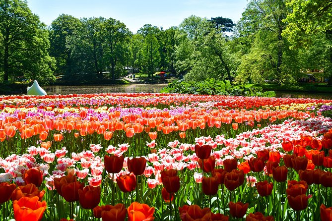 Keukenhof Gardens & Tulip Experience Tour from Amsterdam - Transport, timing, and the value of $95.94