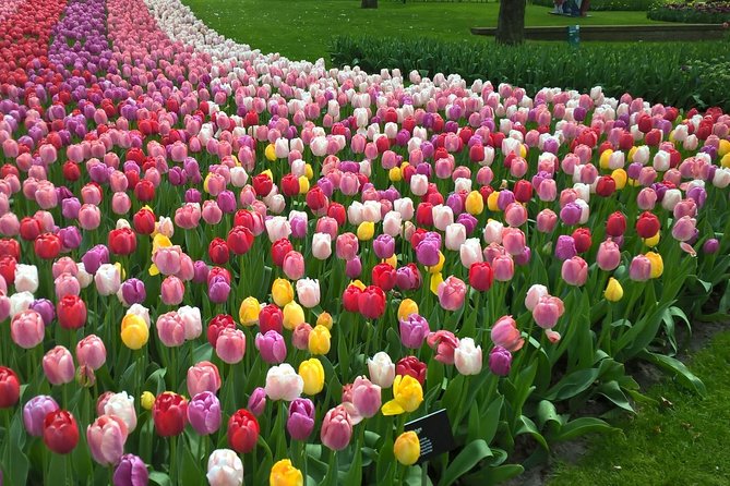 Keukenhof's Tulips and Windmills Small-Group Tour from Amsterdam - Zaanse Schans: Dutch icons in one compact visit