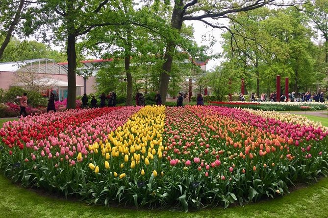 Keukenhof's Tulips and Windmills Small-Group Tour from Amsterdam - Three hours among Keukenhof’s spring flowers