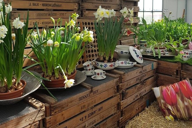 Keukenhof Skip-the-line Tickets: Countryside & Farm Private Tour - A full Dutch countryside day from Amsterdam