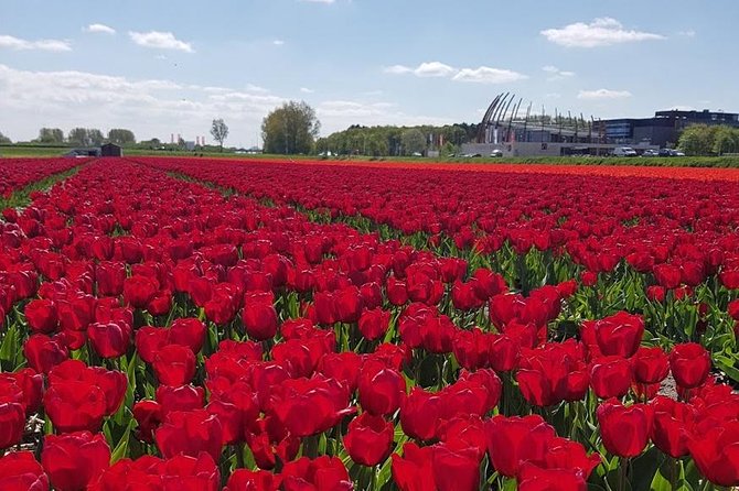 Keukenhof Skip-the-line Tickets: Countryside & Farm Private Tour - Cheese at Jacobs Hoeve