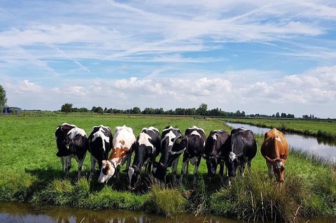 Keukenhof Skip-the-line Tickets: Countryside & Farm Private Tour - Is $548.47 per person good value?