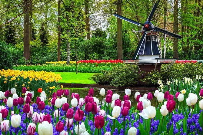 Keukenhof - spring garden from Rotterdam, Delf & The Hague - Key points to know before booking