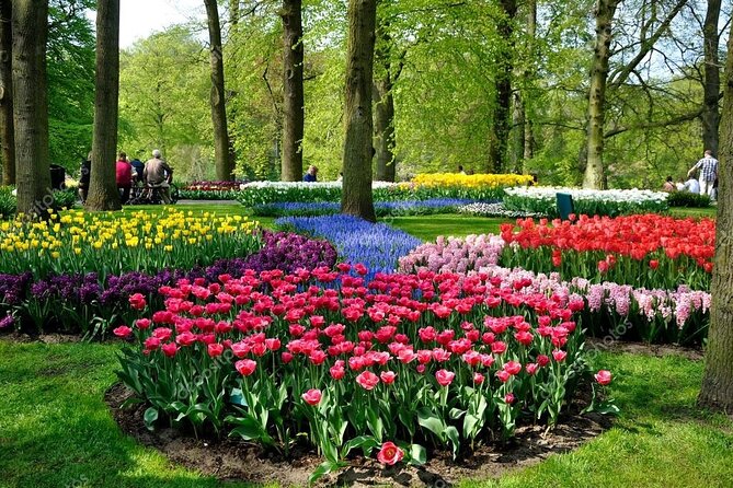 Keukenhof - spring garden from Rotterdam, Delf & The Hague - What the drive with Alex can add