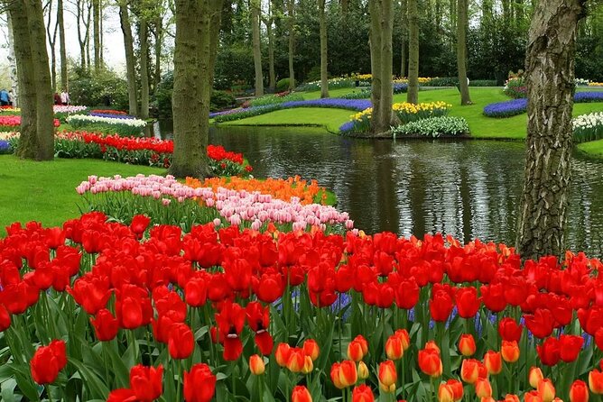 Keukenhof - spring garden from Rotterdam, Delf & The Hague - Transport, vehicle size, and the private-tour question