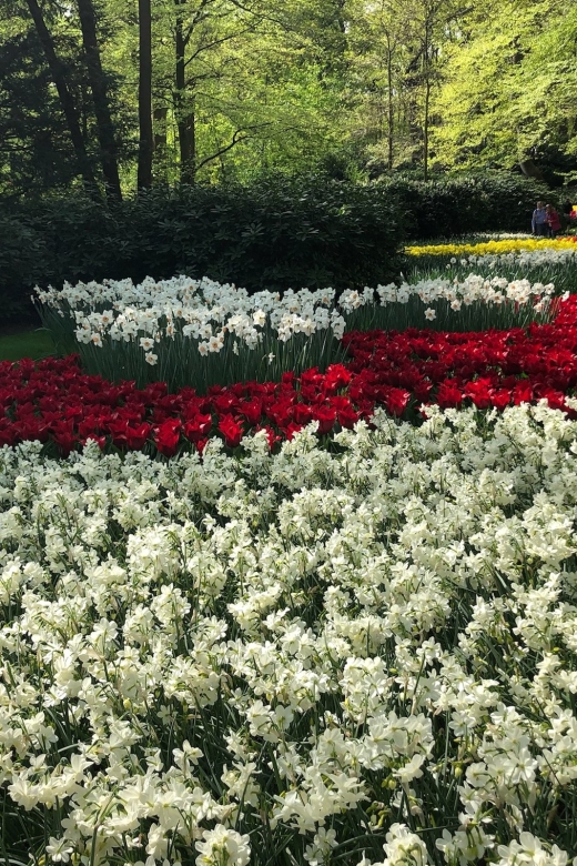 Keukenhof, Tulip Farm, Flower Fields & Windmills - Why this private day works so well