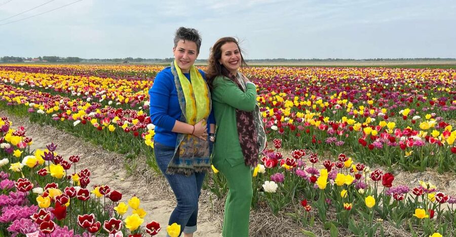 Keukenhof, Tulip Farm, Flower Fields & Windmills - Zaanse Schans and the working windmills
