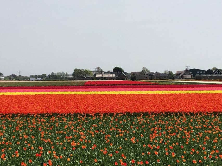 Keukenhof, Tulip Farm, Flower Fields & Windmills - Volendam, colorful houses, and the fishing-village feel