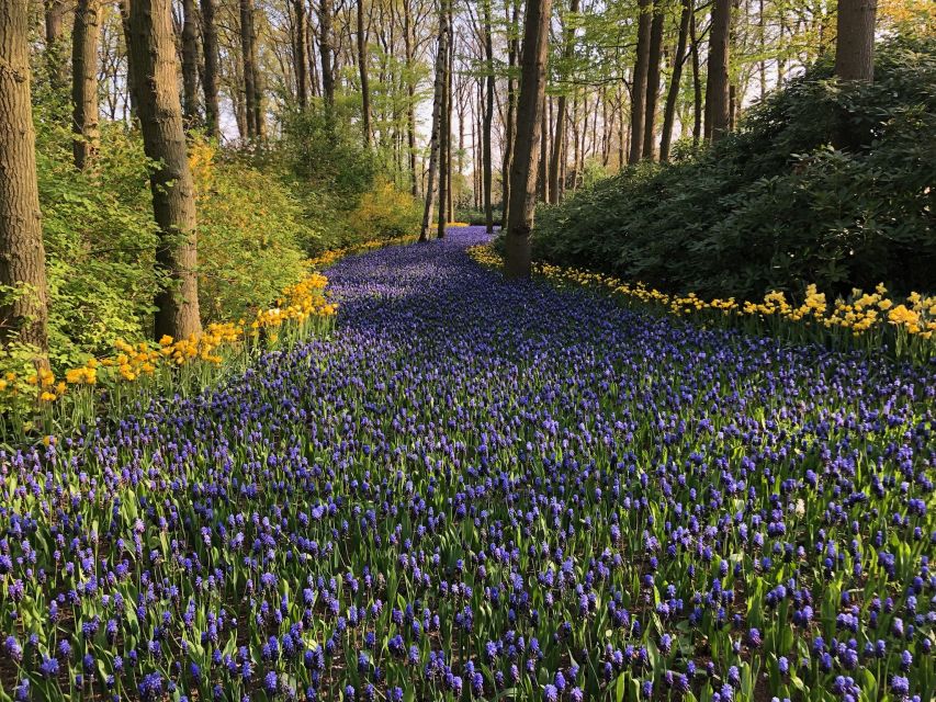 Keukenhof, Tulip Farm, Flower Fields & Windmills - What the $347 price really covers