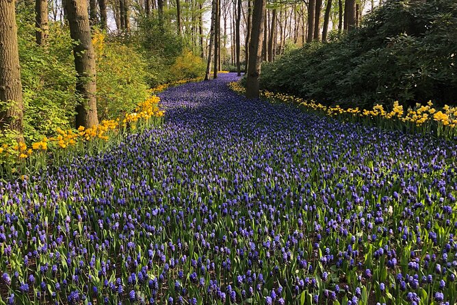 Keukenhof, Tulip Farm, Flower Fields & Zaanse Schans Windmills - The 10:00 pickup from Amsterdam