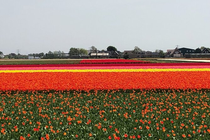 Keukenhof, Tulip Farm, Flower Fields & Zaanse Schans Windmills - Zaanse Schans, three hours among windmills and old houses