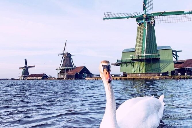 Keukenhof, Tulip Farm, Flower Fields & Zaanse Schans Windmills - Who should book this day tour?
