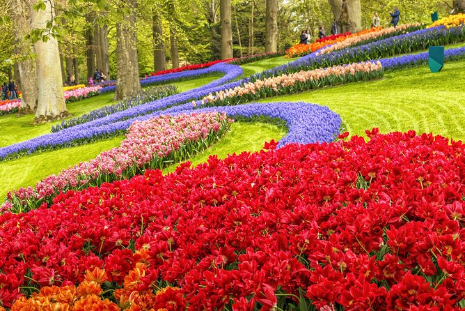 Keukenhof Tulip Garden Tour - Why Keukenhof makes a strong spring outing