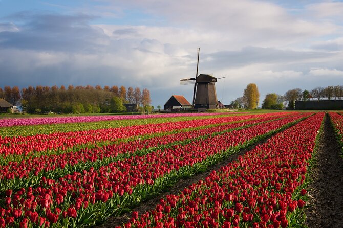 Keukenhof Tulip Garden Tour - What private transportation adds