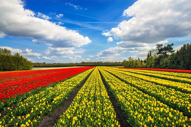 Keukenhof Tulip Garden Tour - Is $636.25 a fair price?