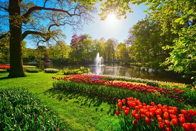 Keukenhof Tulip Garden Tour - Practical timing and seasonal advice