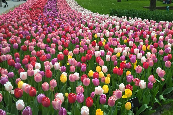 Keukenhof, Zaanse Schans Windmills Private Tour with Lunch - Why this private day trip works