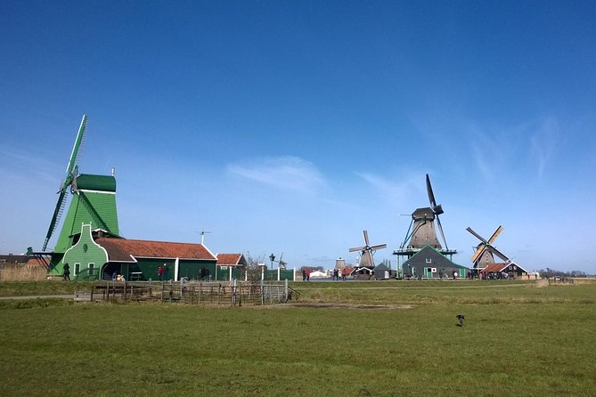 Keukenhof, Zaanse Schans Windmills Private Tour with Lunch - What the private guide adds