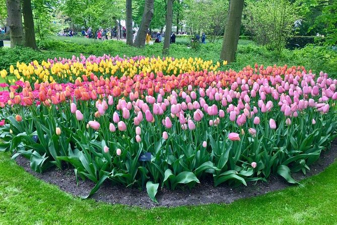 Keukenhof, Zaanse Schans Windmills Private Tour with Lunch - Clogs, cheese, and the everyday Dutch details