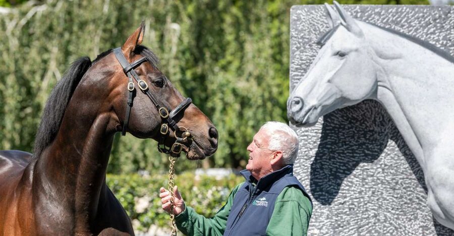 Kildare: Irish National Stud & Gardens - Key points to know before you go