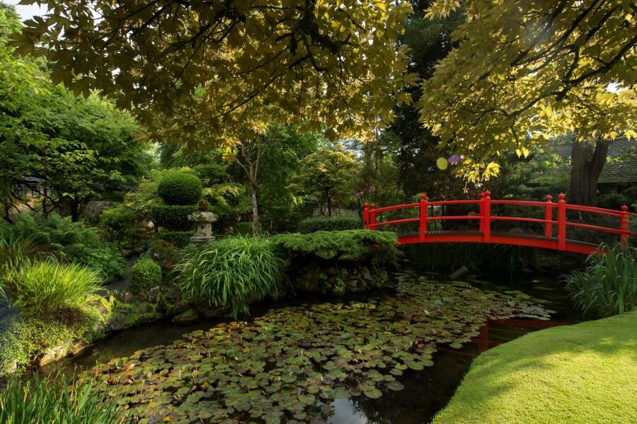 Kildare: Irish National Stud & Gardens - See the Irish character of St Fiachra’s Garden