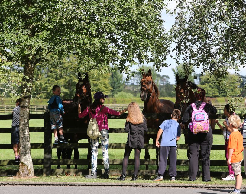 Kildare: Irish National Stud & Gardens - Make your own decisions in the Irish Racehorse Experience