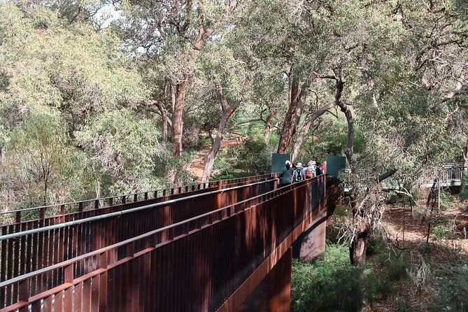 Kings Park Botanicals And Beyond - Key points to know before you book