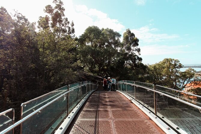 Kings Park Botanicals And Beyond - Swan River views and Federation artwork
